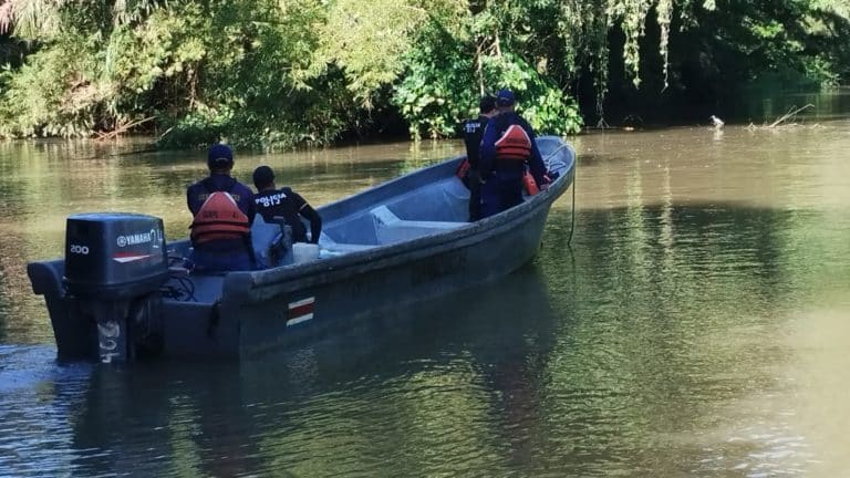 OIJ investiga hallazgo de peces muertos en ríos de Limón