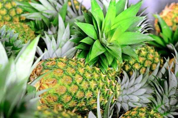 Imagen principal del artículo: Costa Rica, líder mundial en exportaciones de dispositivos médicos, piña y jugo de piña