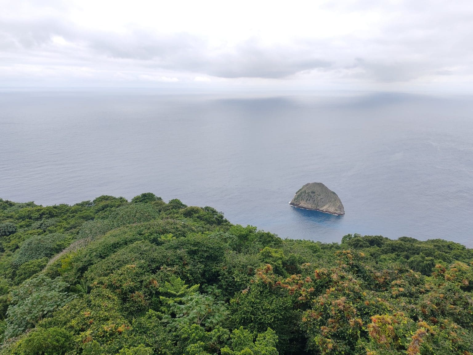 Imagen principal del artículo: Minae reporta disminución del 98,9% de actividad pesquera ilegal en la Isla del Coco