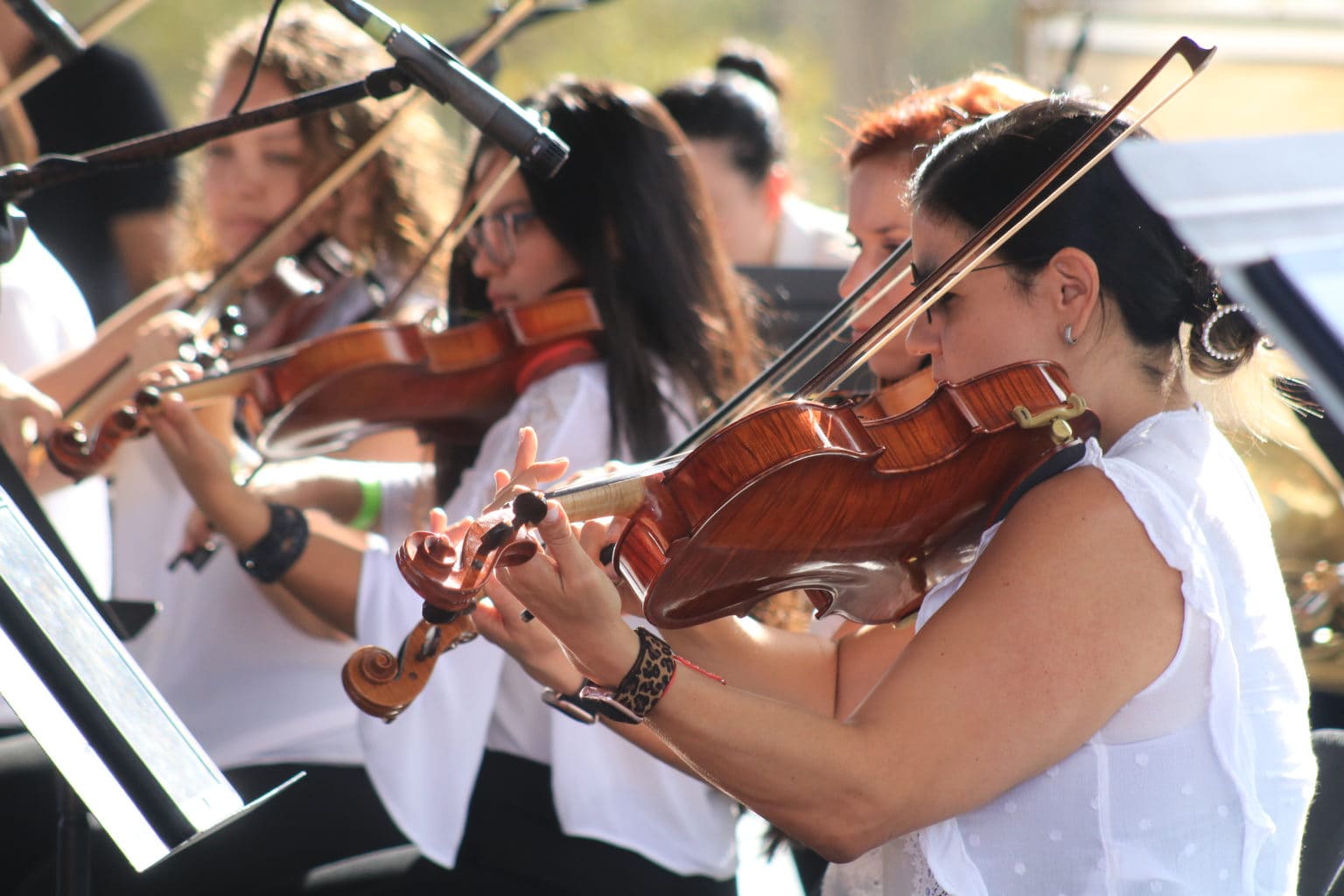 Imagen principal del artículo: El Festival La Libertad 2024 reunió arte, gastronomía y emprendimiento en Desamparados