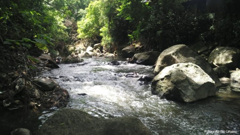 Sentir el río