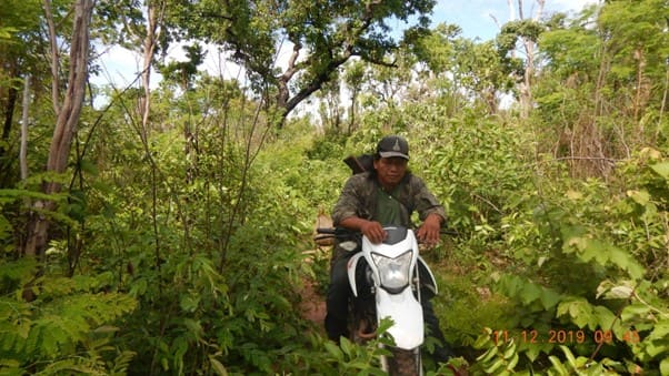 Sabiduría indígena y sostenibilidad: lecciones de los indígenas Xavante y los pueblos indígenas de costa rica