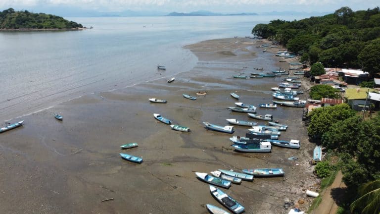 Costa de Pájaros tendrá jornada para eliminar redes fantasmas de su fondo marino