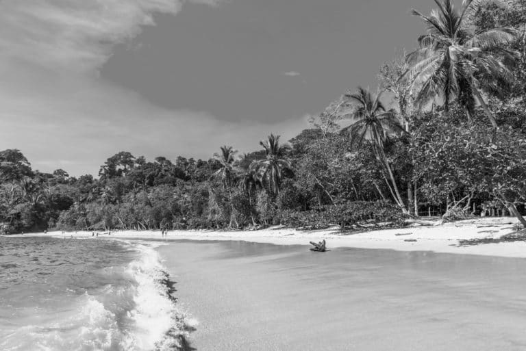 El turismo no sobrevive al miedo