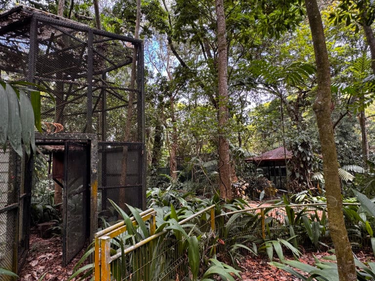 De zoológico a museo al aire libre: Instituciones inician proceso de rehabilitación en el Simón Bolívar 