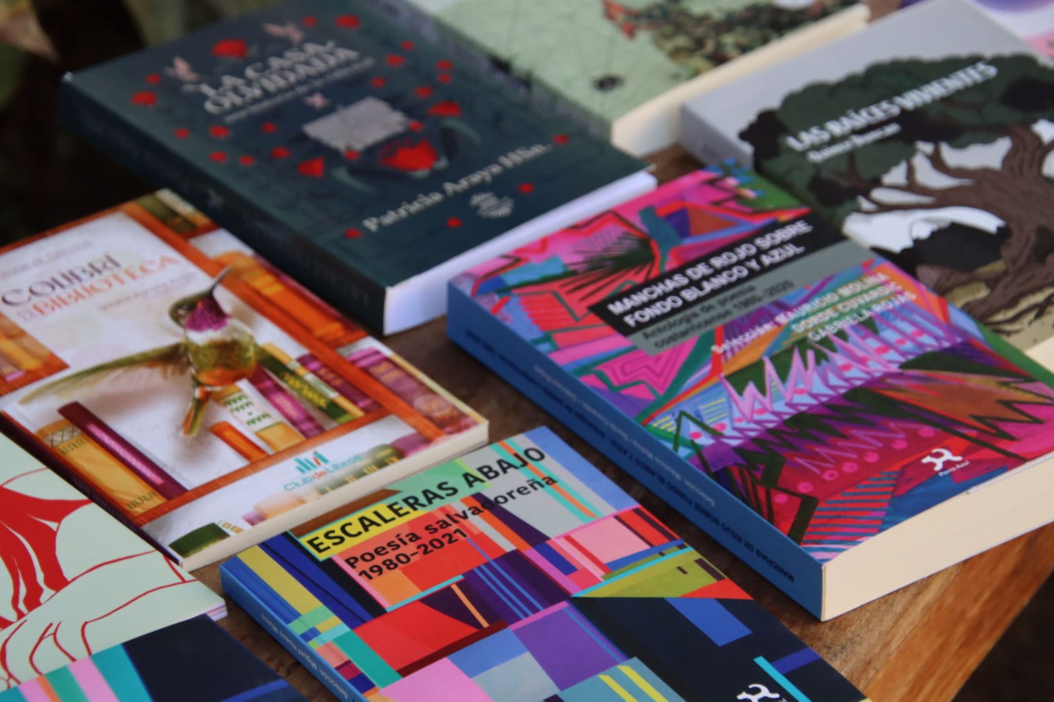 Imagen principal del artículo: Colegio de Costa Rica anuncia proyectos seleccionados en convocatoria "Salvamento Literario 2025"