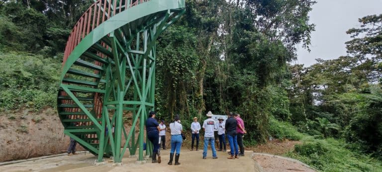 Nuevas torres para avistamiento de aves buscan dinamizar el ecoturismo en Coto Brus y Buenos Aires