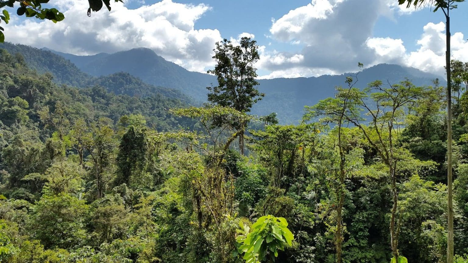 Imagen principal del artículo: Costa Rica presentó experiencia nacional en monitoreo forestal durante curso internacional de la FAO