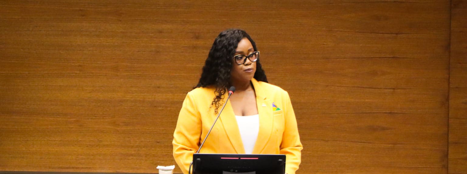 Imagen principal del artículo: Defensoría incrementa su asesoría técnica en proyectos de ley con enfoque de derechos humanos