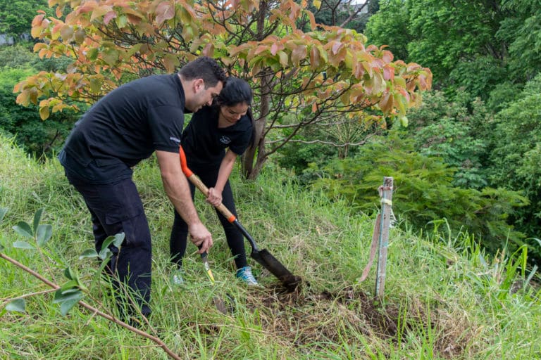 Voluntariado liderado por Canaeco impulsa transformación del Parque Natural Urbano Simón Bolívar