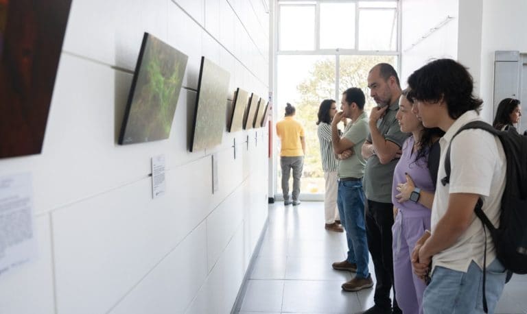 Galería UCR abre convocatoria para exposiciones artísticas del 2026