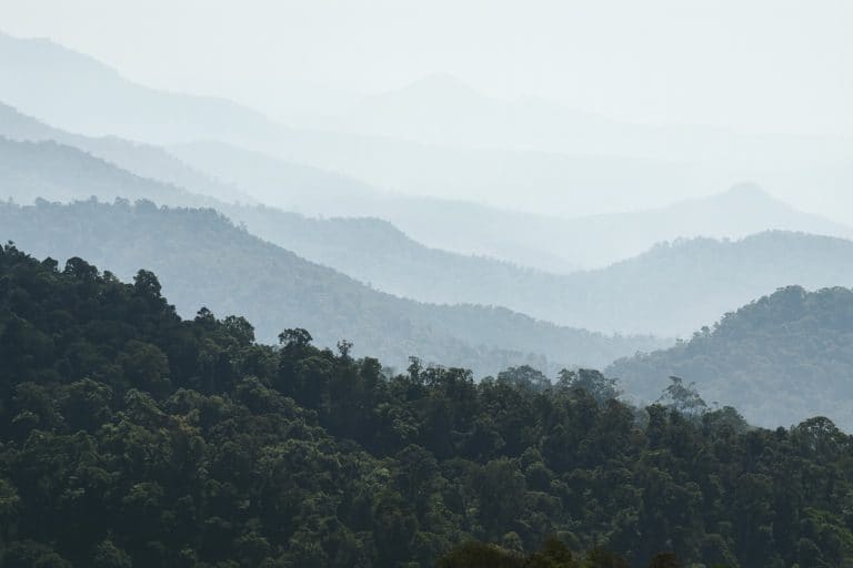 Costa Rica impulsa liderazgo indígena para conservar bosques y reducir emisiones