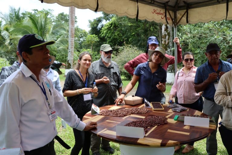 Congreso Internacional de Cacao 2025 se realizará en el CATIE