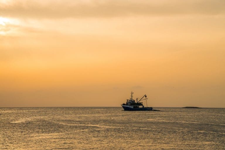 Costa Rica y la CIAT: qué esperar tras la reducción de vedas y la nueva agenda pesquera