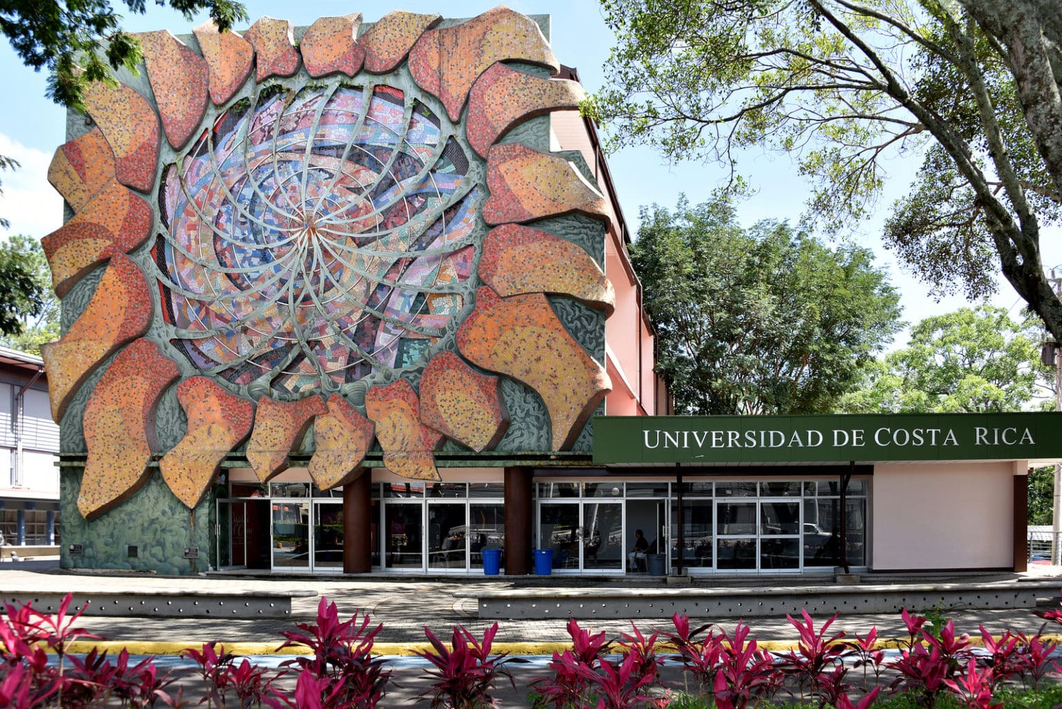 Imagen principal del artículo: UCR: Académicos denuncian irregularidades en apertura de nueva carrera de Enseñanza Bilingüe de la Matemática