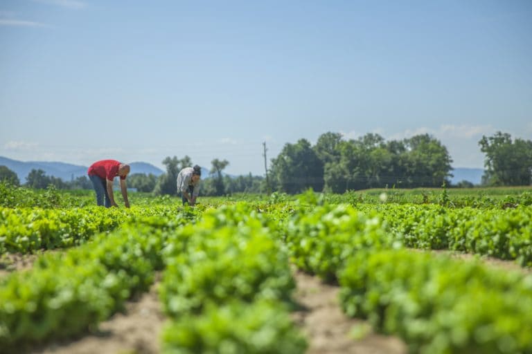 PEN: Costa Rica enfrenta una presión creciente sobre sus principales recursos naturales