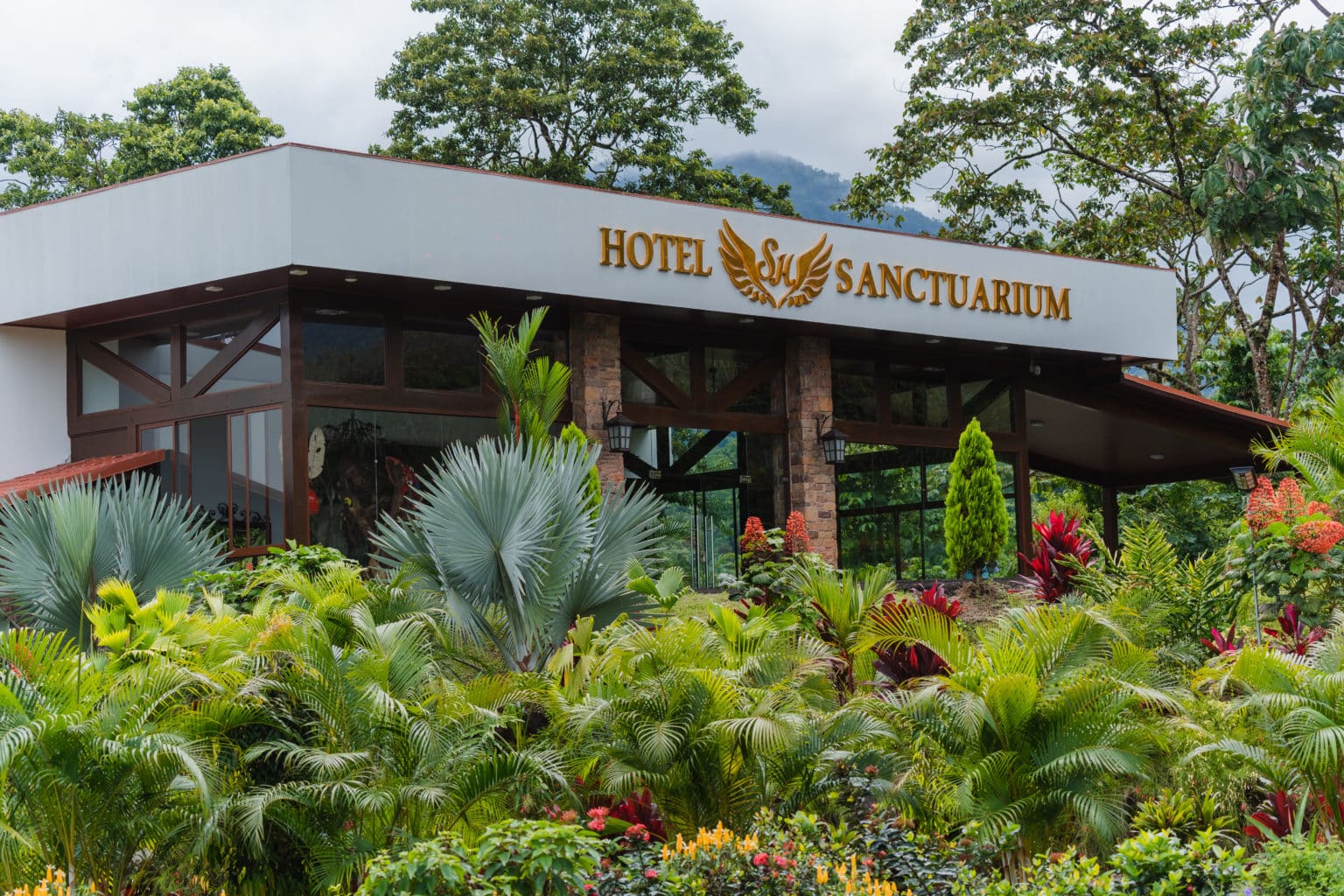 Imagen principal del artículo: Costa Rica suma un hotel de autor: nace Sanctuarium, un refugio para adultos en pleno bosque tropical