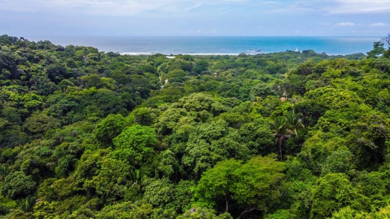 Nosara: naturaleza, bienestar y turismo responsable para cerrar e iniciar el año