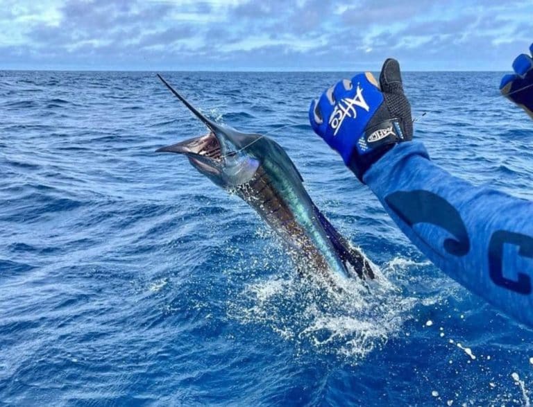 Sector de turismo de pesca exige propuestas concretas sobre gestión marina previo a elecciones