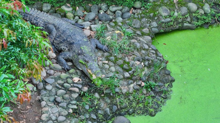 "Ecotec" celebra 25 años como aula viva para la conservación de la biodiversidad