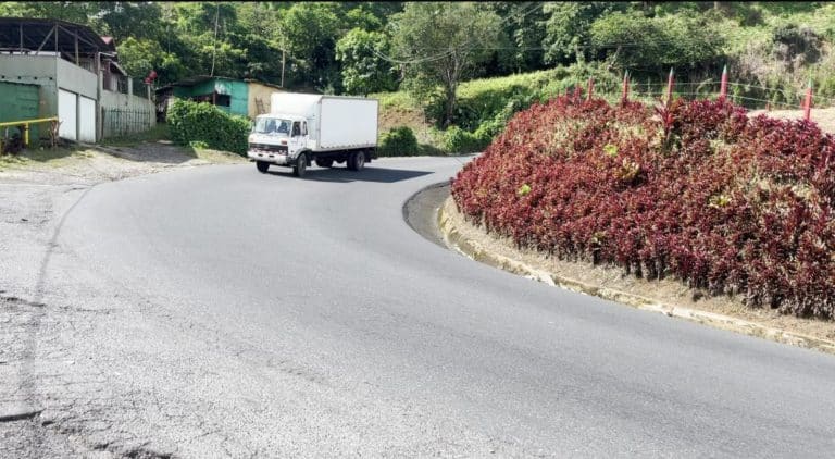 Cámara de Exportadores cuestiona posibles restricciones a camiones en carretera a Turrialba