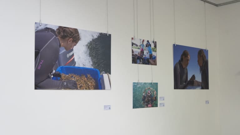 Morpho Costa Rica inaugura exposición y lanza Red de Turismo Científico e Investigativo