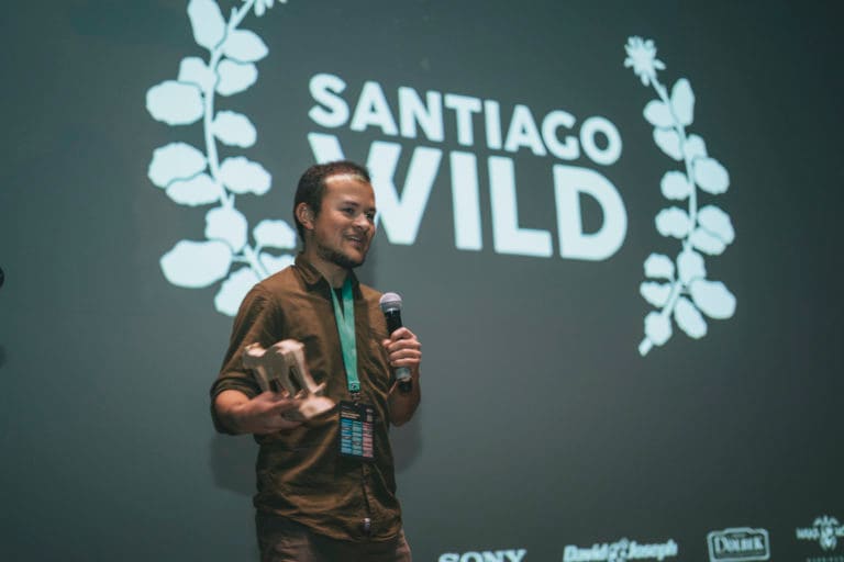 Costarricense Felipe Vega gana premio en Santiago Wild con corto sobre nacimiento de un murciélago