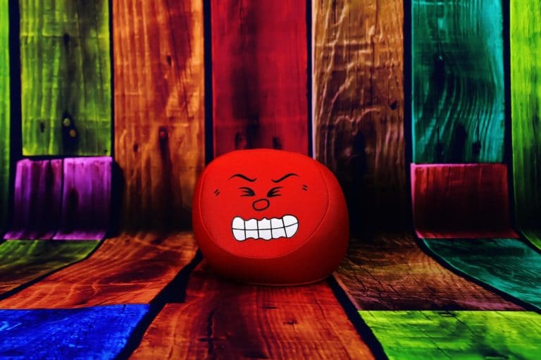 La política del enojo y la normalización de la agresión social