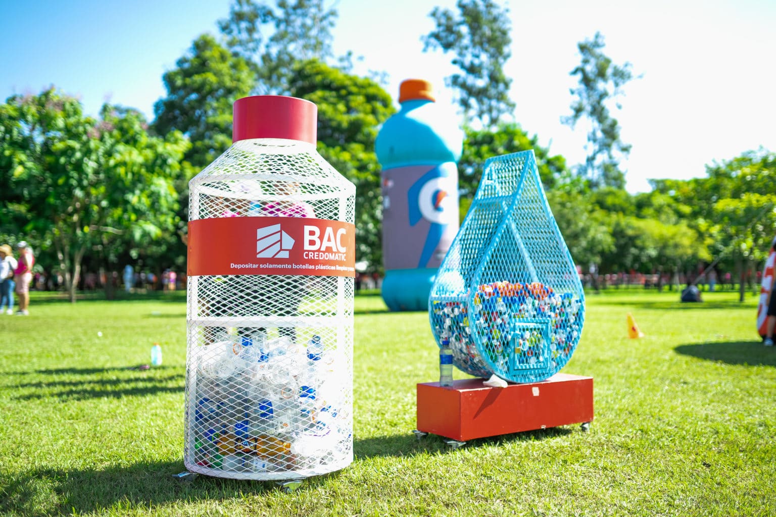 Imagen principal del artículo: BAC compensa más de 21.000 toneladas de CO₂e, equivalente a cuatro veces el Parque La Sabana en extensión de bosque