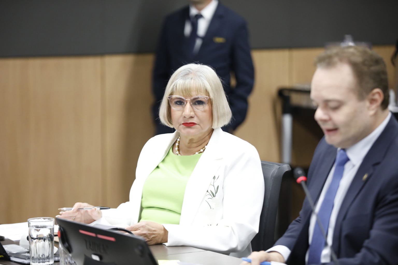 Imagen principal del artículo: Diputada oficialista propone prohibir que magistraturas suplentes litiguen ante sus salas