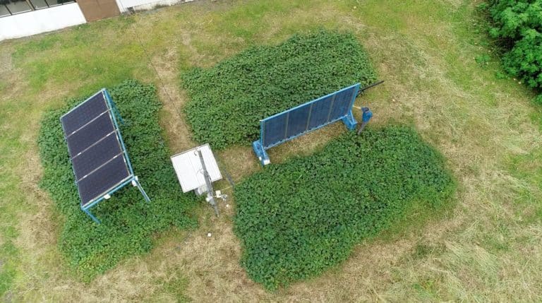 ¿Se puede producir energía solar sin sacrificar cultivos? TEC prueba cómo hacerlo en San Carlos