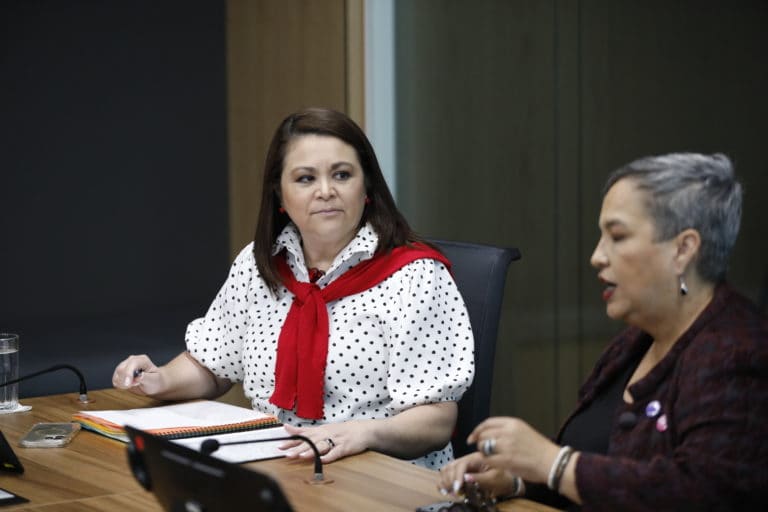 Diputada oficialista propone autorizar el uso de dispositivos Taser por cuerpos policiales