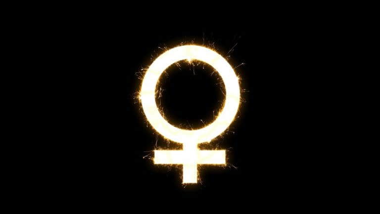 ¿Y si las mujeres tuvieran su propio partido?