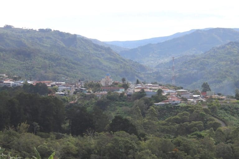 Juzgado ordena restaurar bosque afectado por cultivo de café en tres fincas de Tarrazú