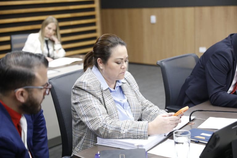 Oficialismo propone que Constitución proteja la vida desde la concepción hasta la muerte natural